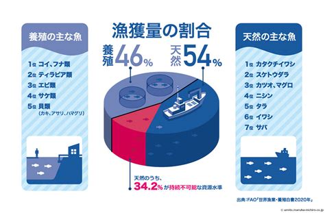 魚量|世界の水産物の漁獲量・生産量 国別ランキング・推移